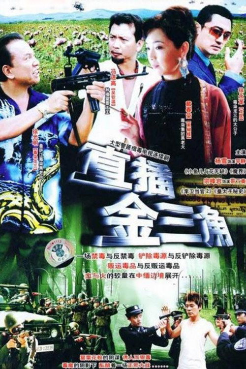 Póster de 直插金三角