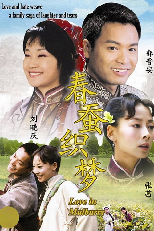 Póster de 春蚕织梦