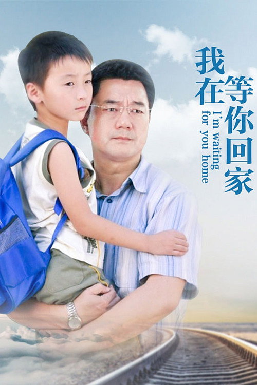 Póster de 我在等你回家
