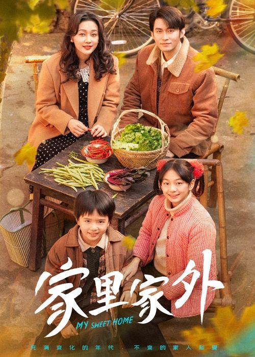 Póster de 家里家外