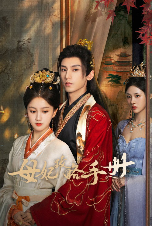 Póster de 母妃攻略手册
