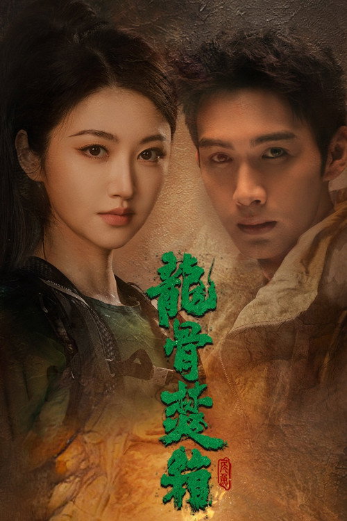 Póster de 龙骨焚箱