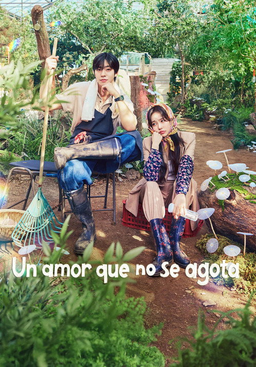 Póster de Un amor que no se agota