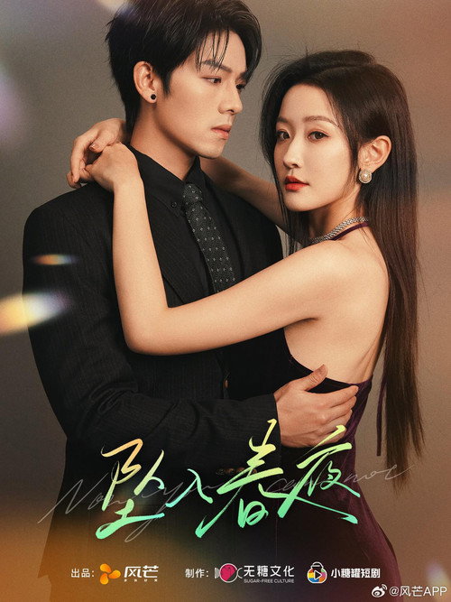 Póster de 坠入春夜