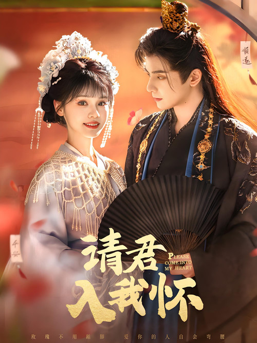 Póster de 请君入我怀