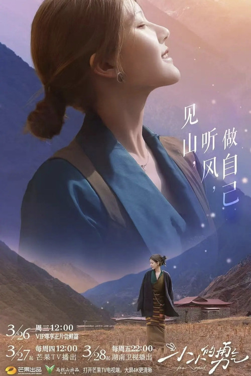 Póster de 小小的勇气
