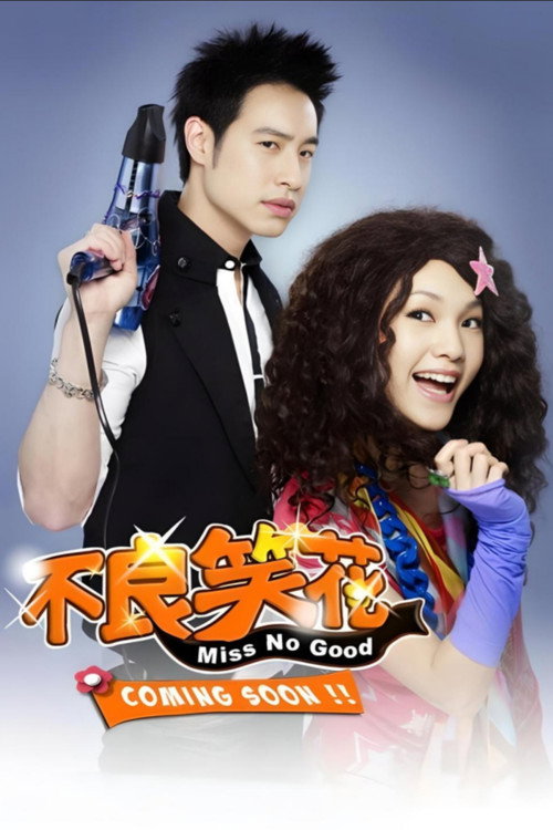 Póster de 不良笑花