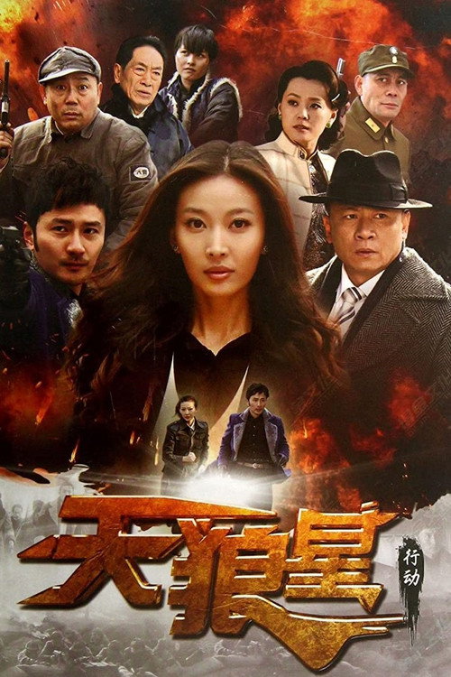 Póster de 天狼星行动