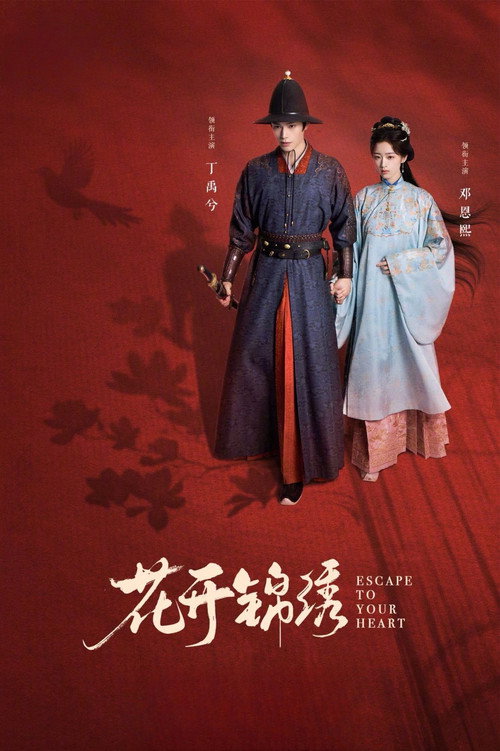 Póster de 花开锦绣