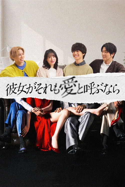 Póster de 彼女がそれも愛と呼ぶなら
