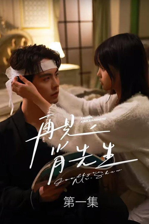 Póster de 再见了，肖先生
