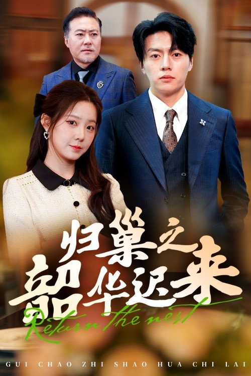 Póster de 归巢之韶华迟来