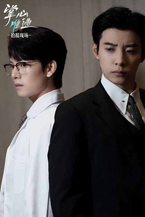 Póster de 掌心难逃