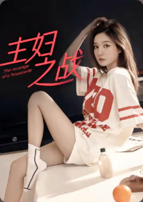 Póster de 主妇之战