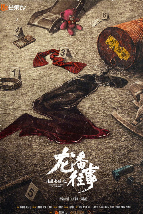 Póster de 法医秦明之龙番往事
