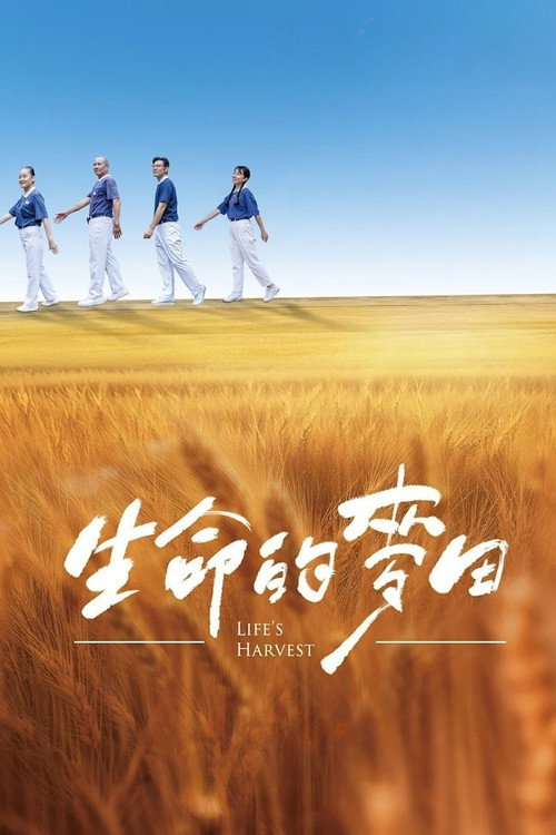 Póster de 生命的麥田