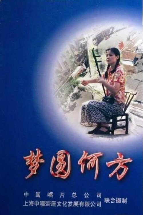 Póster de 梦圆何方