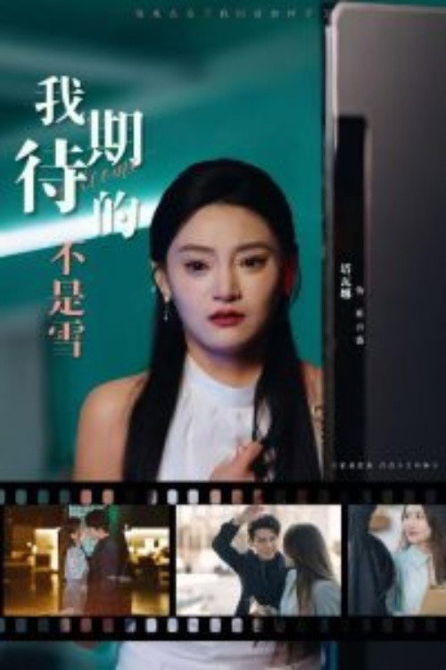 Póster de 我期待的不是雪