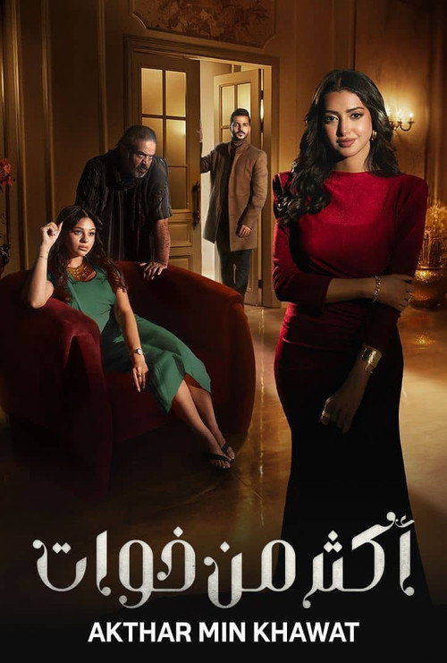 Póster de More Than Sisters