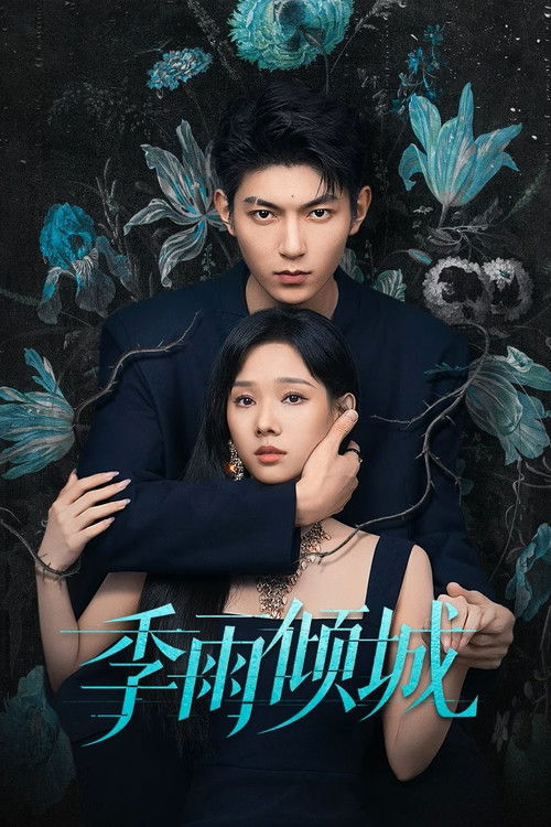 Póster de 季雨倾城