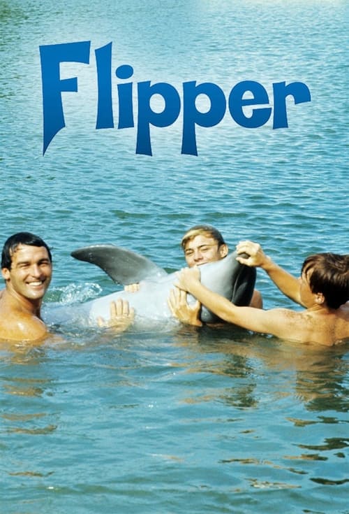 Póster de Flipper