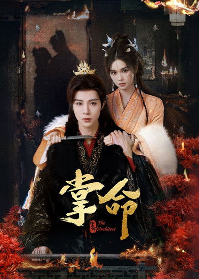 Póster de 掌命