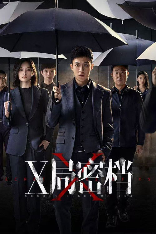 Póster de X局密档
