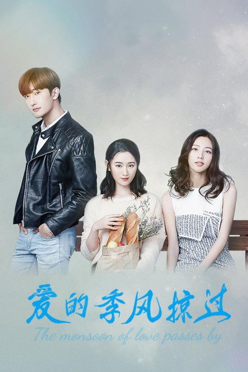 Póster de 爱的季风掠过