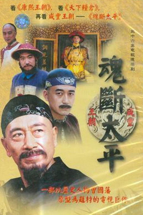 Póster de 魂断太平