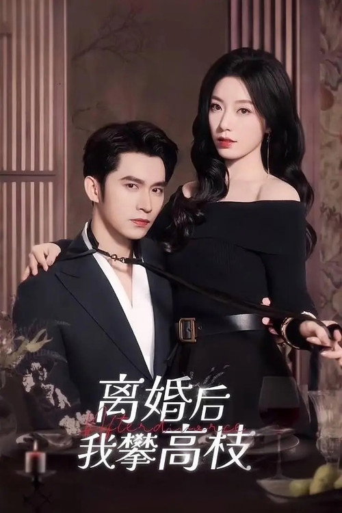 Póster de 绯色过浓