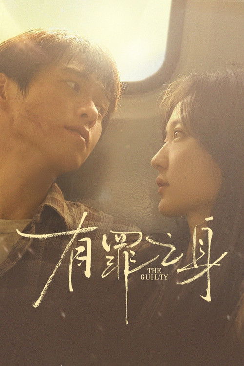 Póster de 有罪之身