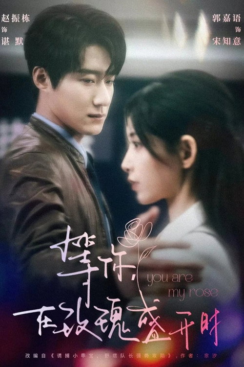 Póster de 等你，在玫瑰盛開時