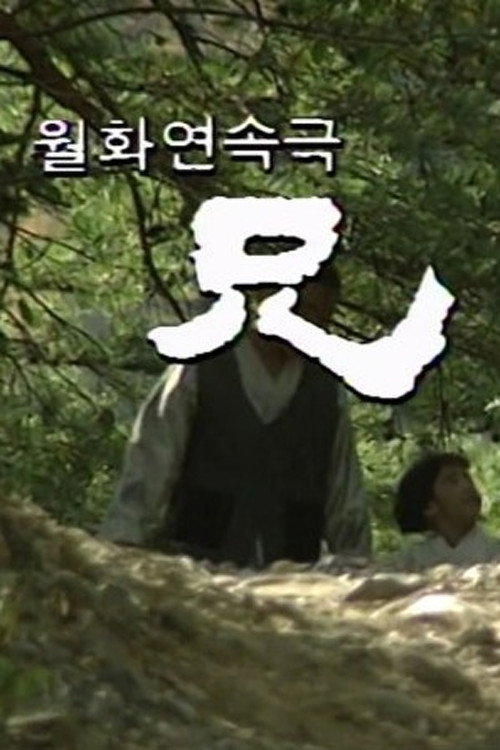 Póster de 형