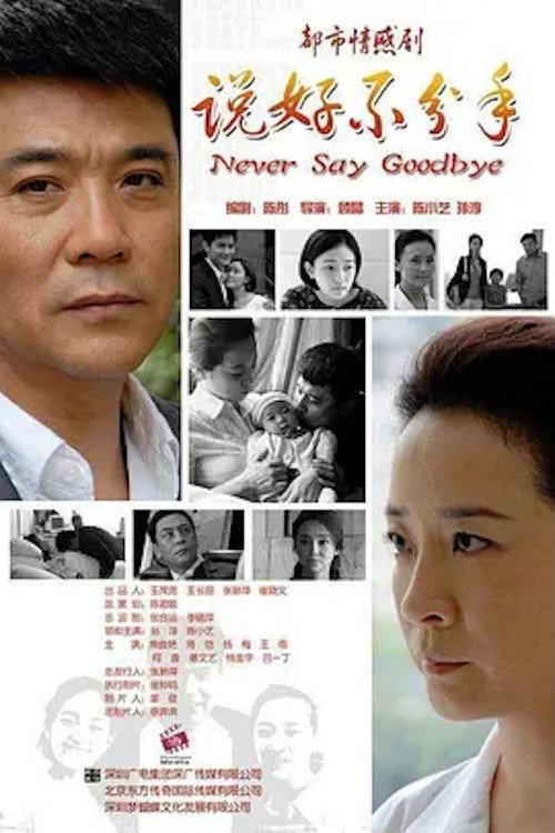 Póster de 说好不分手