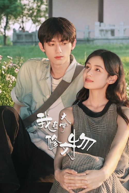 Póster de 我在大学修文物