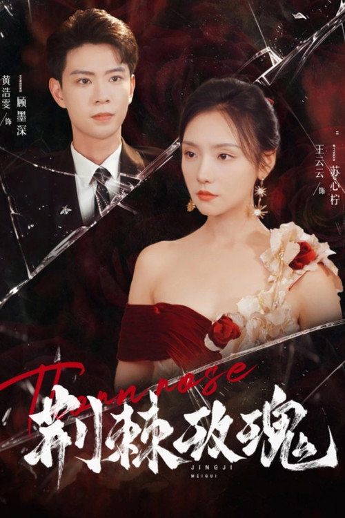 Póster de 荆棘玫瑰