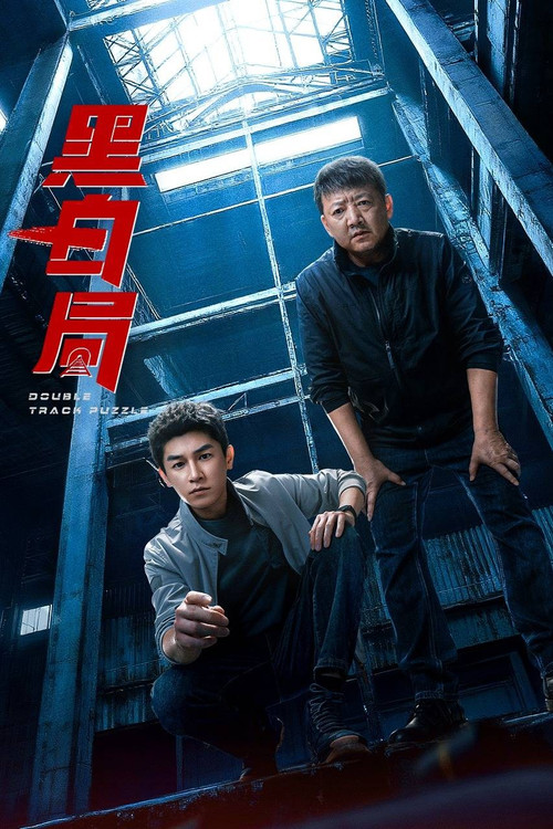 Póster de 黑白局