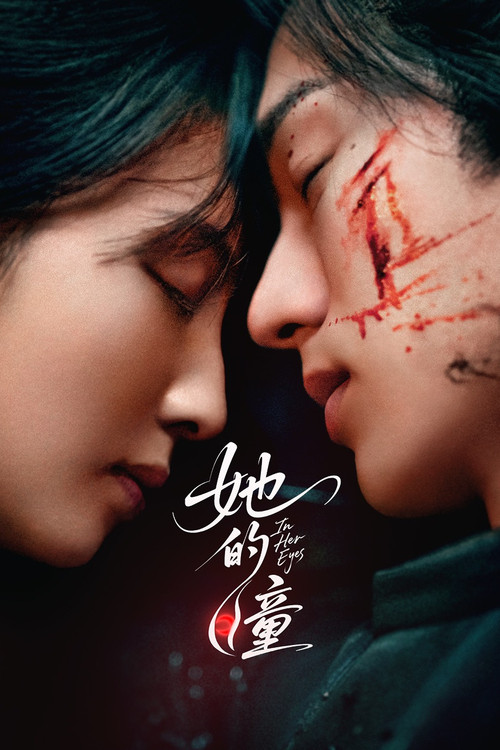Póster de 她的瞳