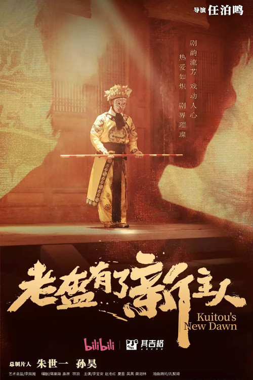 Póster de 老盔有了新主人