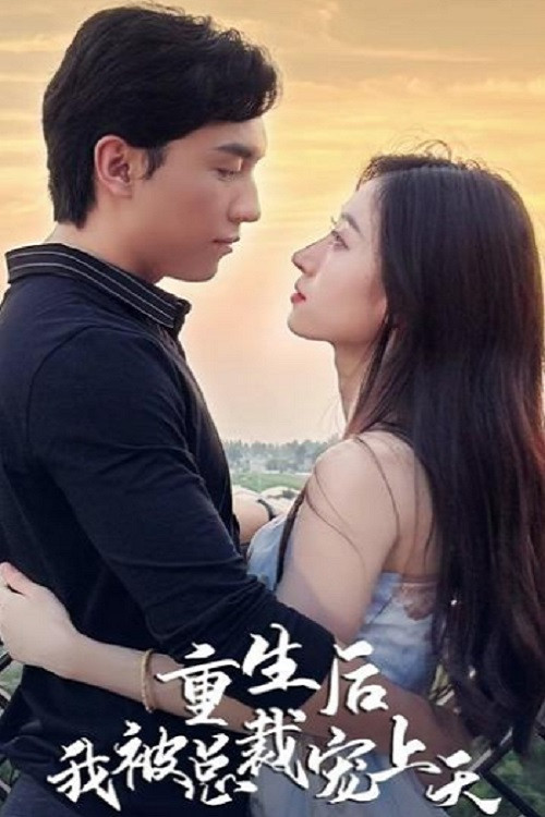 Póster de 重生后我被总裁宠上天