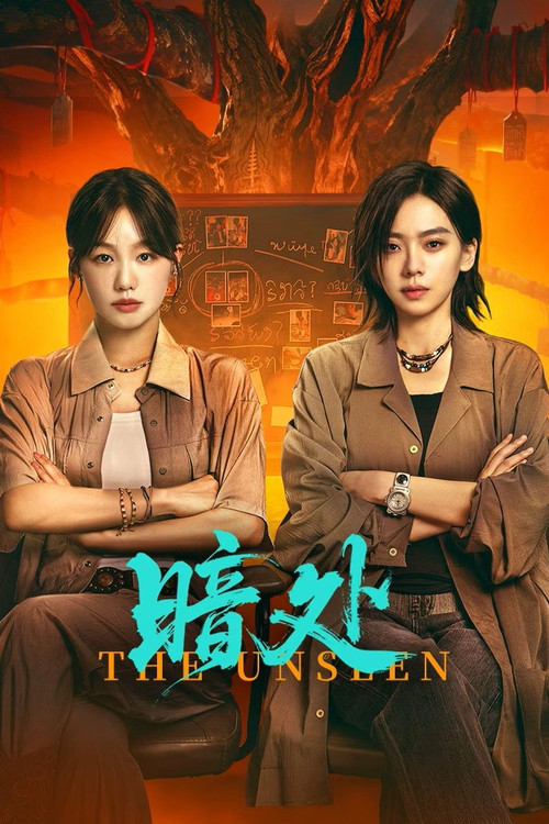 Póster de 暗处