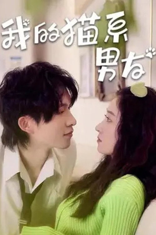 Póster de 我的猫系男友
