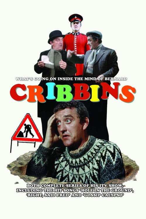 Póster de Cribbins