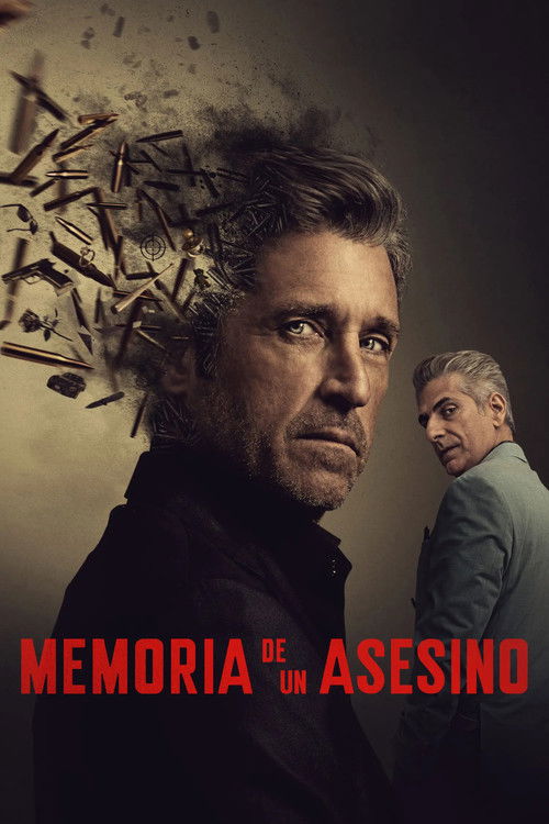 Póster de Memoria de un Asesino