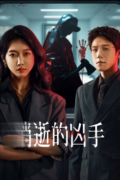 Póster de 消失的凶手