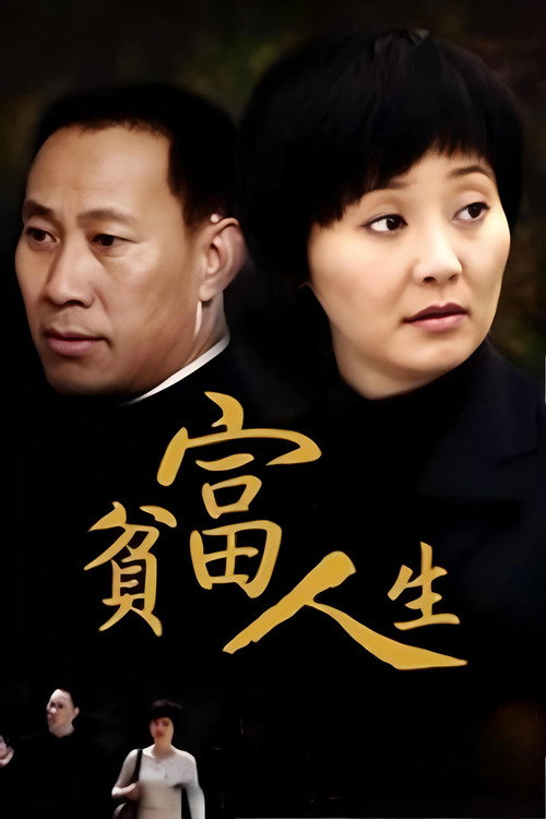 Póster de 贫富人生