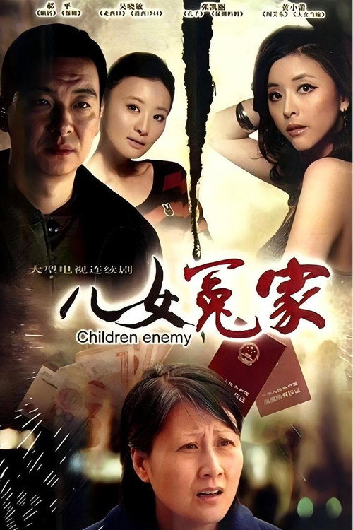 Póster de 儿女冤家