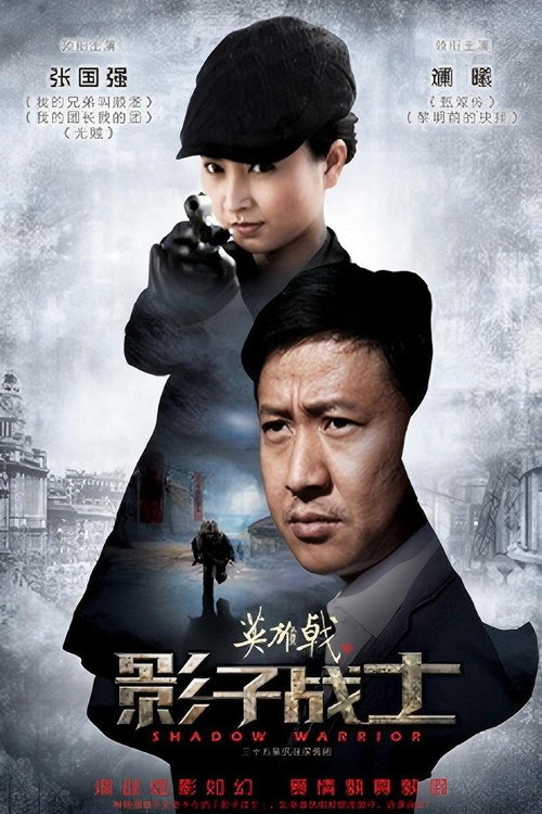 Póster de 英雄戟之影子战士