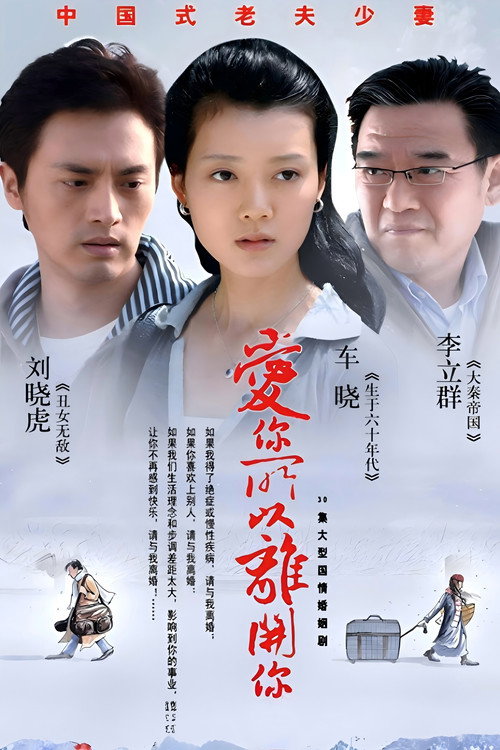 Póster de 爱你所以离开你