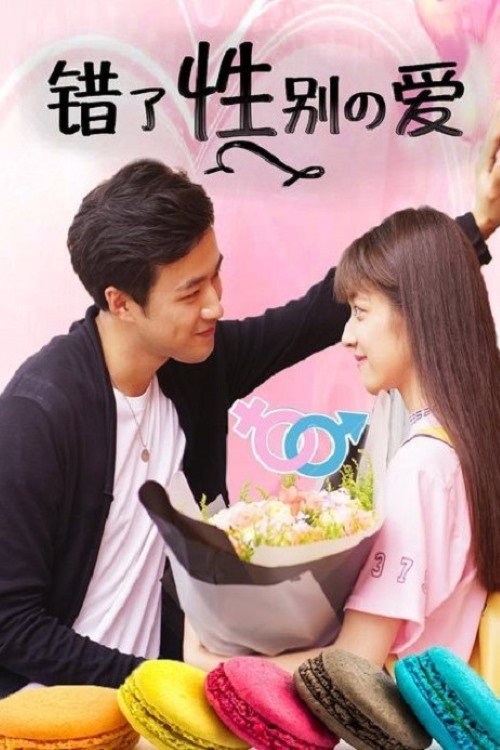 Póster de 错了性别的爱